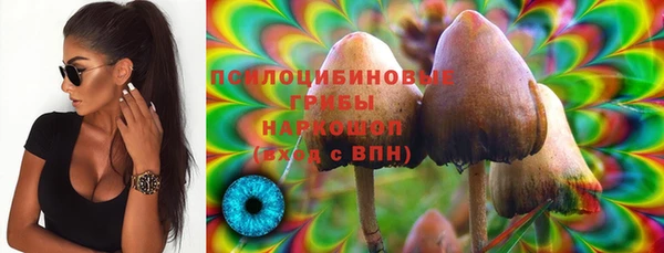 ешки Зерноград