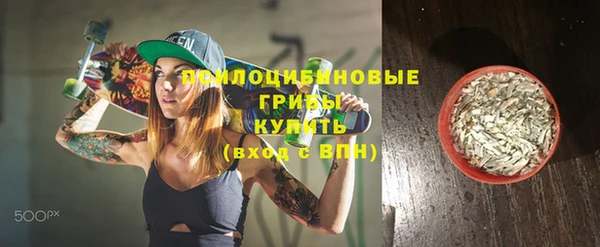 ешки Зерноград