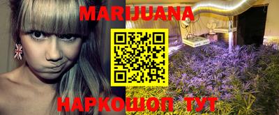 индика Обнинск