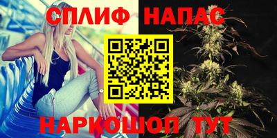 МДПВ Обь