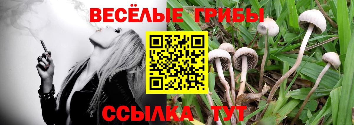 Соликамск  Галлюциногенные грибы Psilocybe  купить наркотик  Вход с VPN 